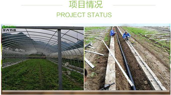 水肥一体化方案设计 农业园区示范可远程控制操作灌溉自动施肥机