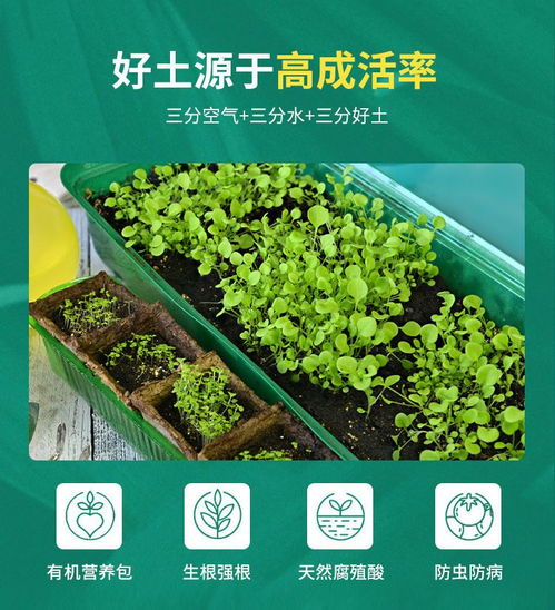 营养土和泥炭土哪个适合种菜