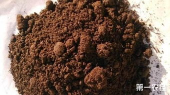 羊粪作为有机肥都有哪些好处