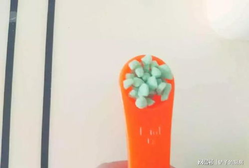 连给土壤消毒都不会 难怪你养不好花