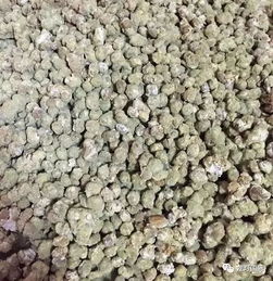 微生物有机肥 长毛 背后的真相,你知道吗 不要骗我我读书少