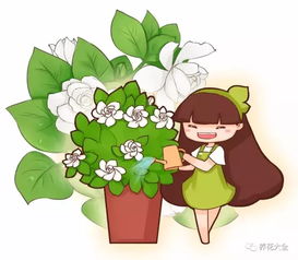 70种花浇水方法,1句话保花活20年