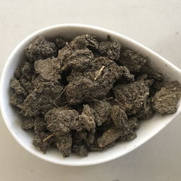 果树嫁接机报价 厂家 