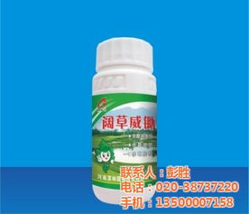 广州绿顺园林,酢浆草阔叶除草剂哪家好,四会阔叶除草剂高清图片 高清大图