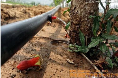 山地果园智能水肥一体化滴灌设备