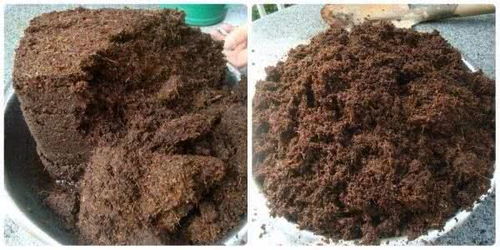 椰糠养花,方便实用,还买啥营养土呀 一块椰糠砖种满一阳台 