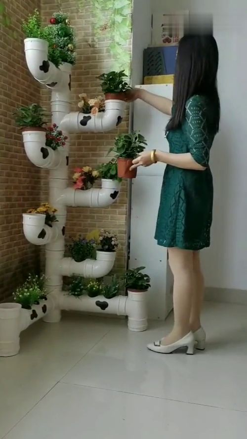 自制立体花架,真有创意
