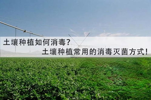 农业种植土壤为何要消毒 土壤消毒灭菌常用的方法