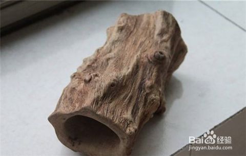 花椒木可用来做拐杖