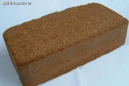 养花配土篇 园土 煤渣 泥炭土等等,该怎么用好
