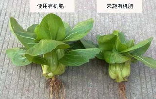 生物有机肥的功能 是如何制作生产的