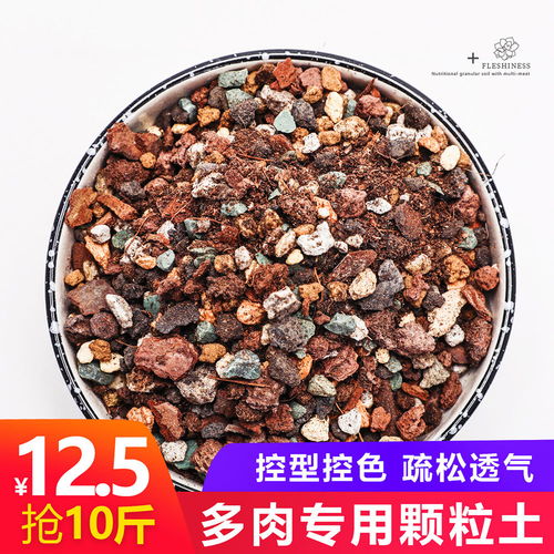 阳台蔬菜花卉植物种植椰砖椰糠种菜扦插营养土椰粉砖椰土包邮,一品好特惠