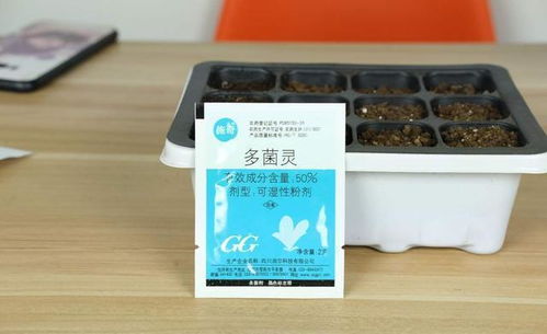 自制多菌灵怎么做