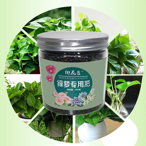 绿萝专用肥开花复合肥花肥营养液花盆栽养花土壤营养家用有机肥料