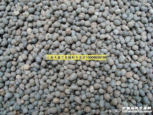 卖家包邮 发酵好的羊粪蛋一袋4斤 兰花必备肥料