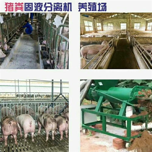 【东营分离机厂家新款固液分离机猪粪牛粪鸡粪脱水机】- 黄页88网