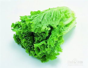 吃什么蔬菜可以减肥