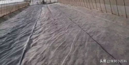 土壤杀菌消毒用什么药好