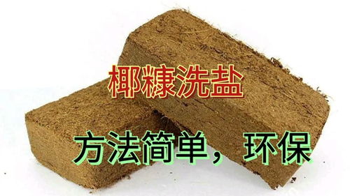 椰糠没洗3遍,不能种花,这样泡发洗盐,干净环保,一点不浪费