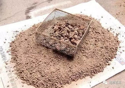 椰砖拌土的不良后果