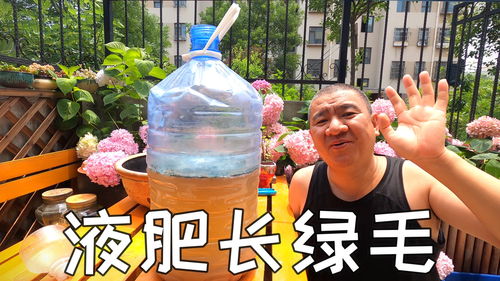 沤肥长绿毛了怎么办 高手分享妙招,有机肥这样保存更方便