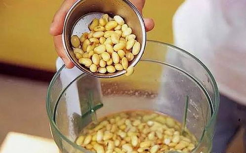 4月天热,使用 黄豆肥 要当心,少了1步,招虫子 还烂根