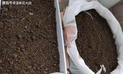 冬末春初,在家自制营养土该怎么操作 收集哪些材料