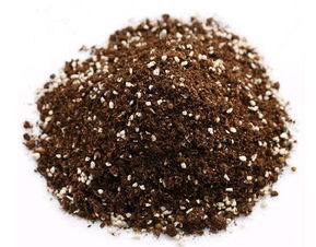 珍珠岩是什么,珍珠岩的简介优缺点和用途介绍