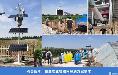智慧农业大棚 高效节水自动化灌溉系统
