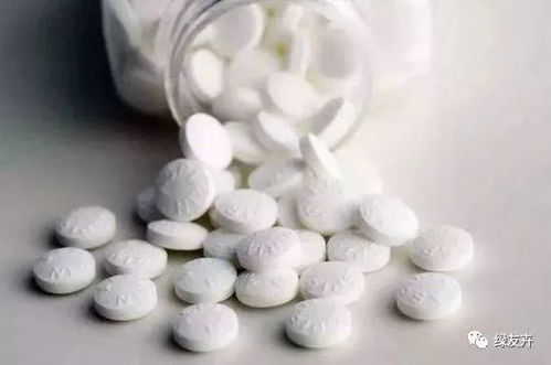 养盆栽小技巧 能替代多菌灵养花的药剂
