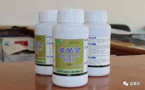 不用花钱买 杀虫剂 ,自制的药水,效果也不差