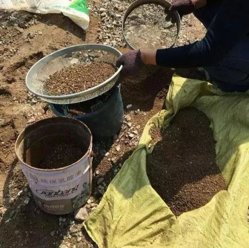 节约用土,河沙养花,是个宝 路边随便挖,省下一笔钱 土壤
