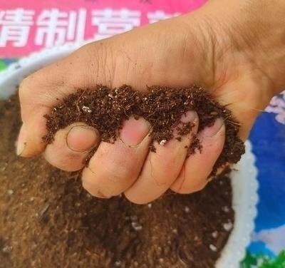 家中养花,配好土,养份足,几种小料掺一掺,扔土里就生根