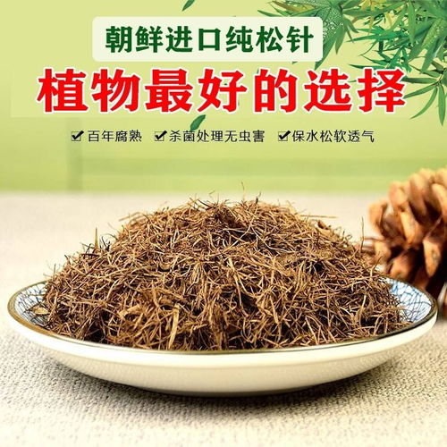 营养土通用种花种菜批发花肥料盆栽养花松针多肉君子兰兰花专用土