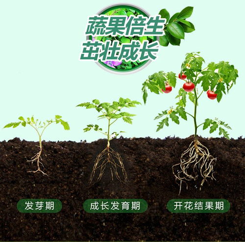 营养土通用种花种菜土壤花卉绿萝多肉植物花肥盆栽泥土