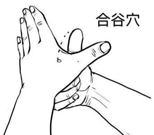 灸疗8句口诀全背住,你就是艾灸高手