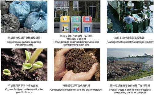 最新 国内外可堆肥降解塑料评价标准