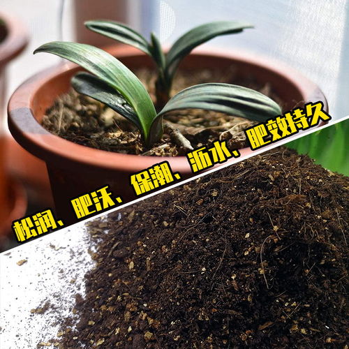 腐叶土可以种蔬菜吗