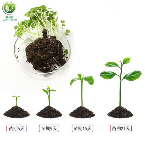 营养土大包花土通用型多肉土养花种菜种植土绿萝花卉泥土壤多规格