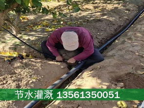 山西太原市山地果树滴灌果园灌溉设备