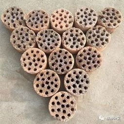 自制营养土,7种东西拌在一起,啥花都能砰砰爆盆