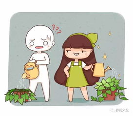 100种花夏季浇水大全,再也不担心花儿的浇水