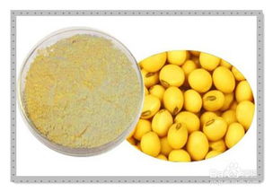 如何用劣质大豆发酵后做肥料