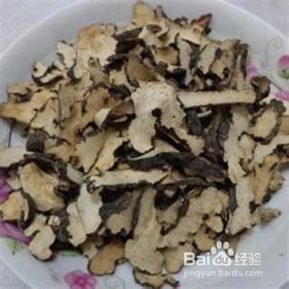 猪苓栽培技术