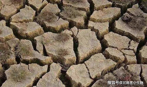 矿源黄腐酸钾复合肥多少钱 矿源黄腐酸钾颗粒有什么用 矿源黄腐酸钾哪里有卖