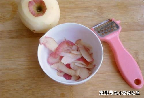 9月养茉莉花,给它喝点苹果水,全年不黄叶,新叶花苞一起长 花友 土壤 方法