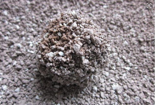 这3个动作表示猫咪讨厌这种猫砂,主人赶紧换掉