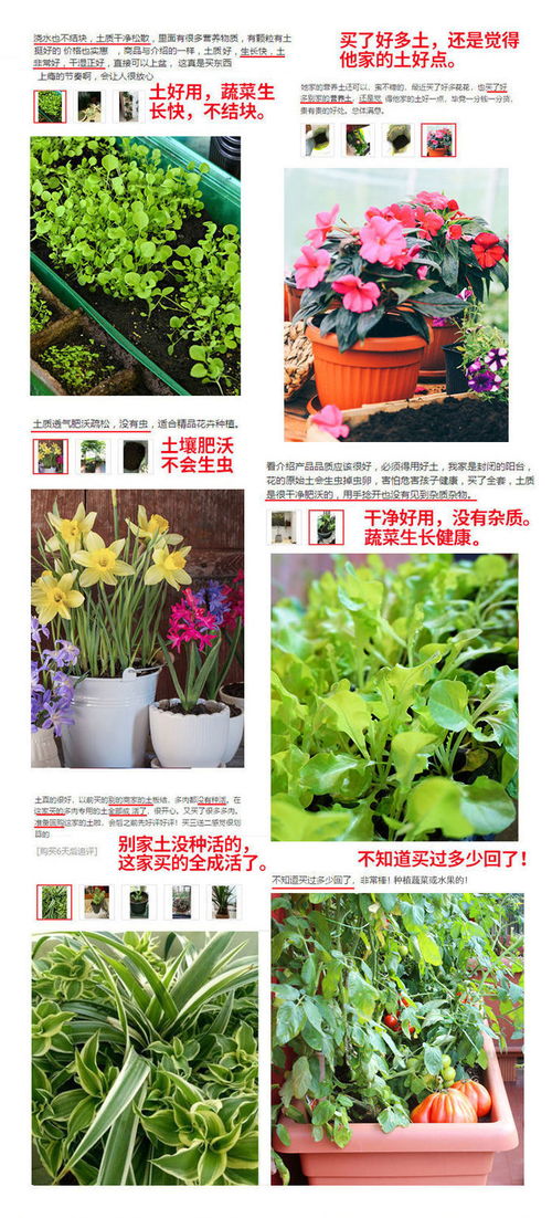 长白山营养土花土泥炭土种植有机多肉土通用种菜种花土黑土包邮