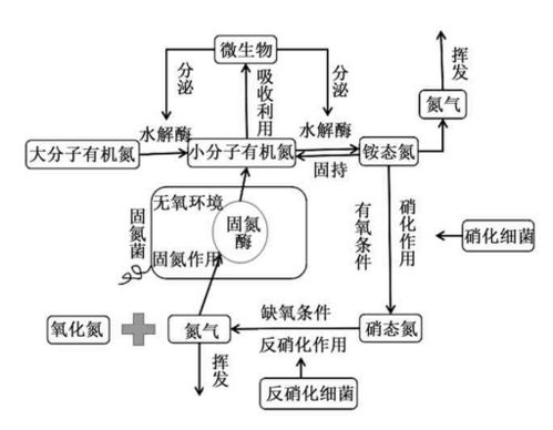 环境工程 固体废弃物堆肥过程中氮素转化 损失因素 机理 控制策略