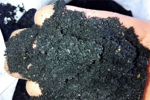 哪些花可以用草木灰 给植物施肥别再用错了,不然就是祸害了盆栽